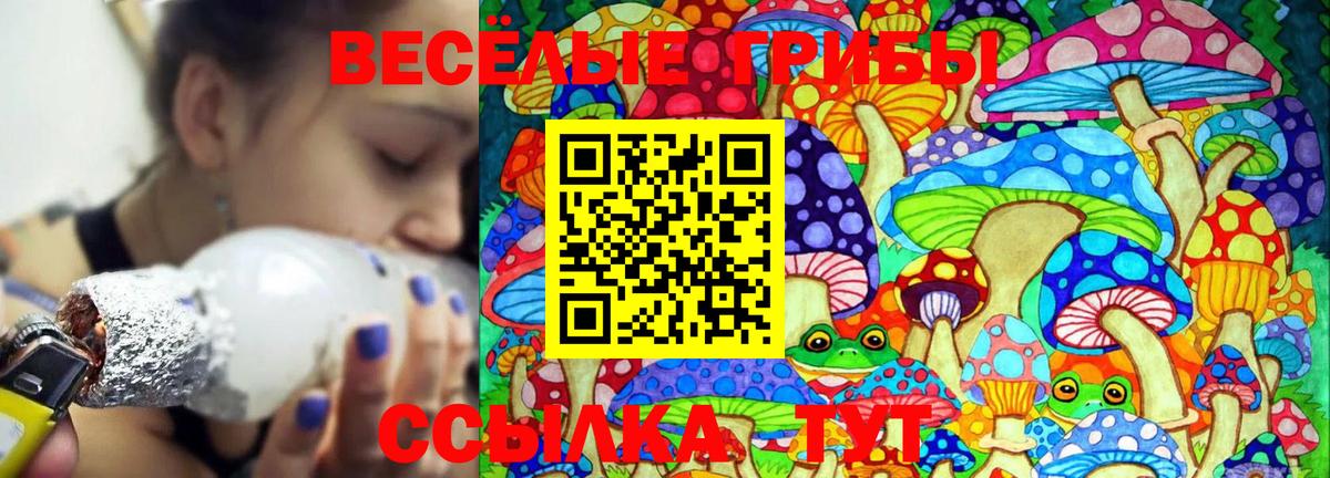 Галлюциногенные грибы Magic Shrooms  Вход с VPN  Котельники  Галлюциногенные грибы Psilocybine cubensis 
